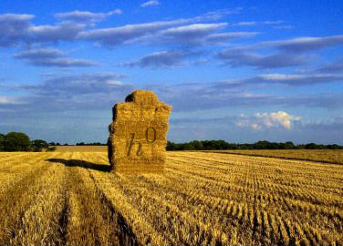 Higgs in a haystack